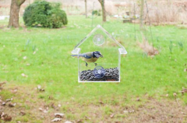 Fallen Fruits ACRYLIC HANGING BIRD TABLE HOUSE