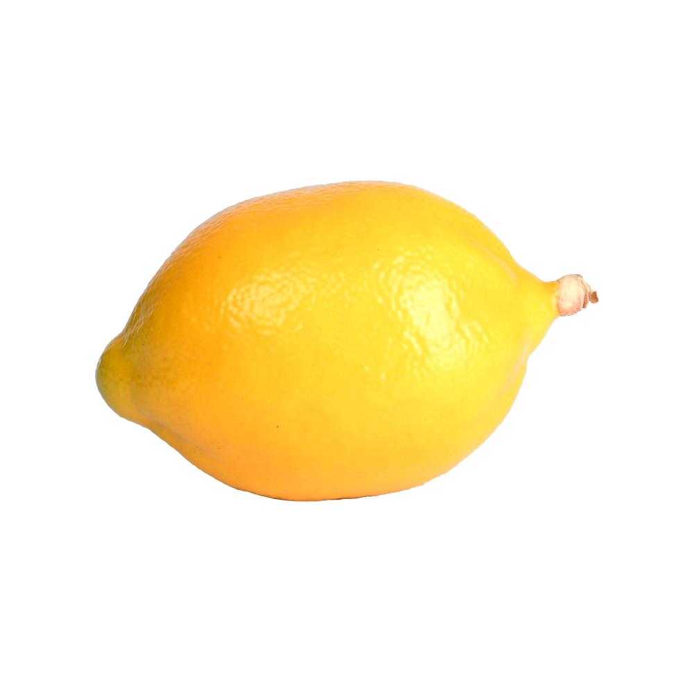 fallen fruits ARTIFICIAL LEMON