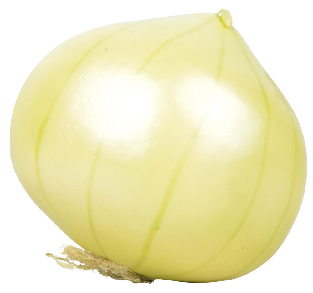 fallen fruits ARTIFICIAL ONION