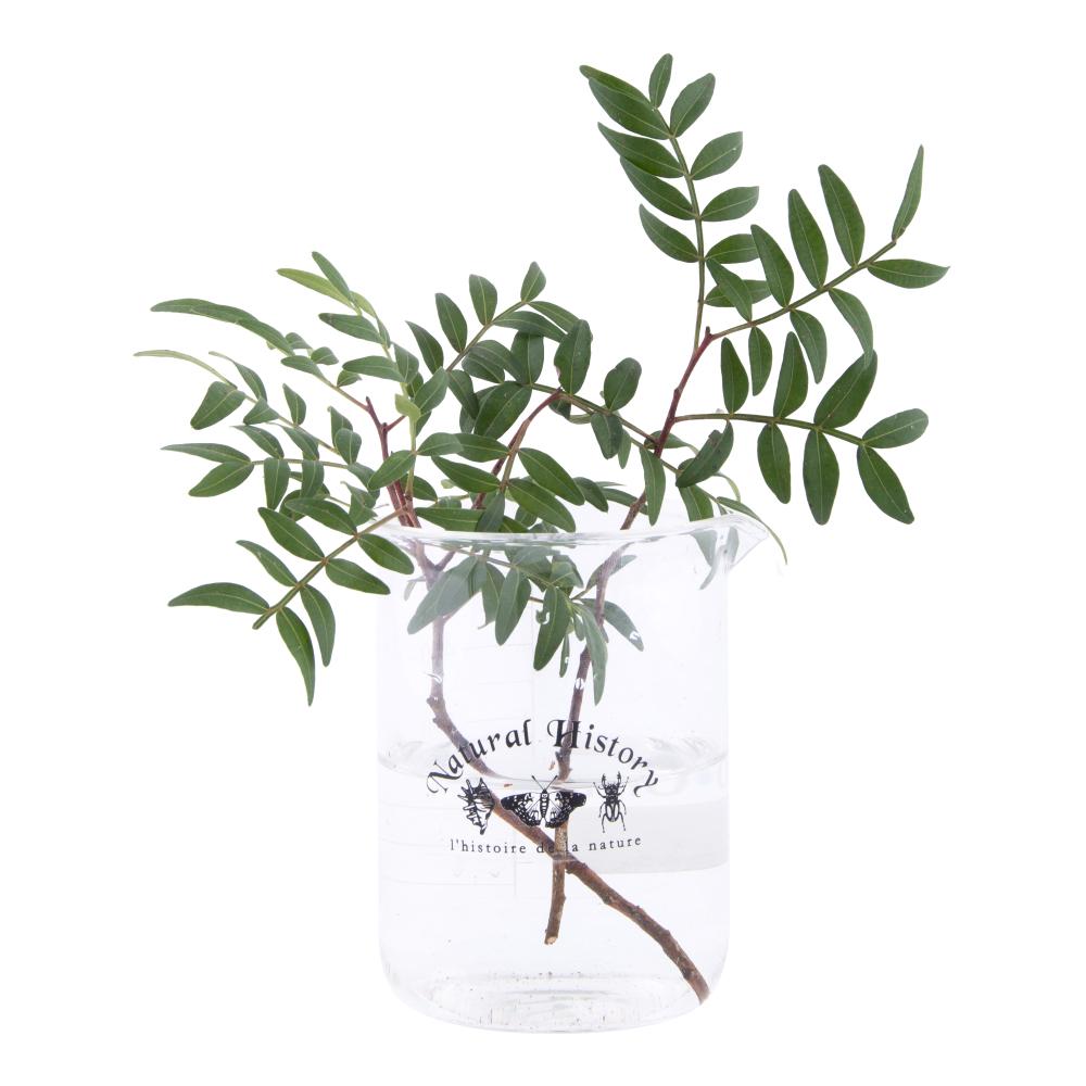 fallen fruits BEAKER (500ml)