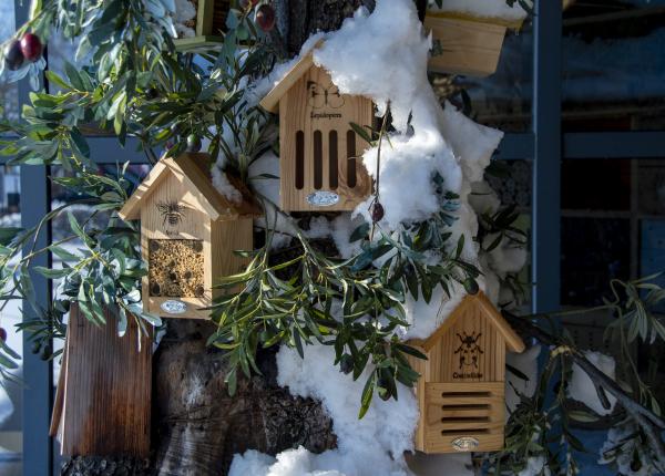 Fallen Fruits BEE HOUSE SILHOUETTE FSC 100%