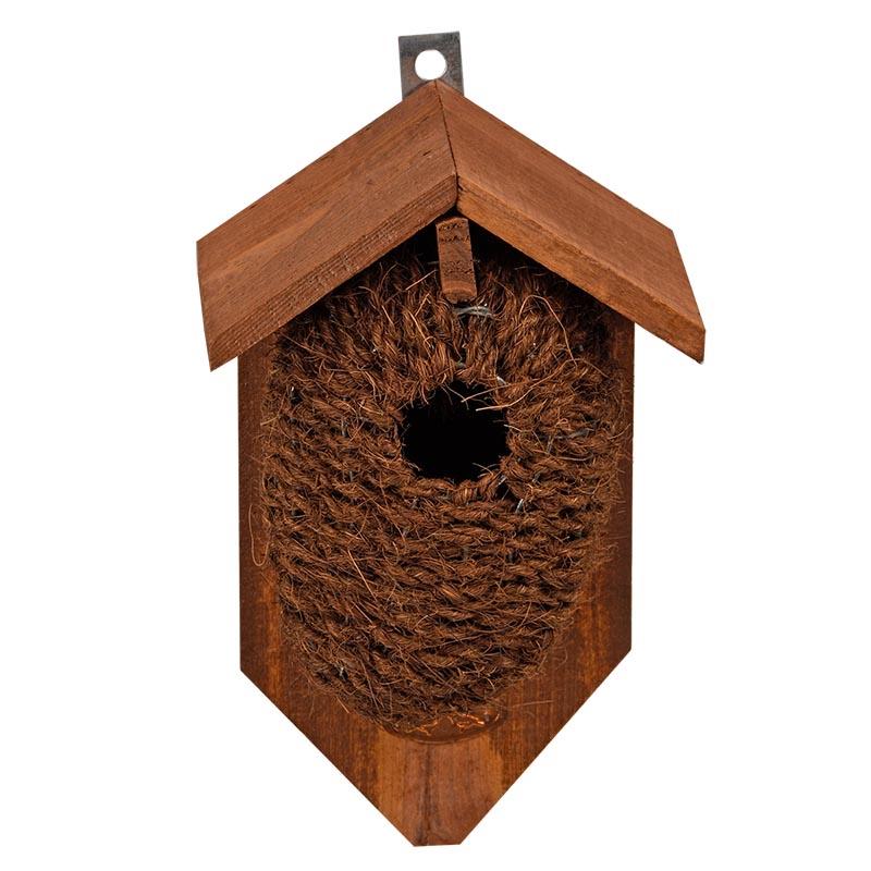 fallen fruits BIRDNEST COCOS