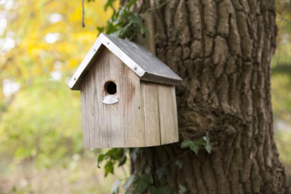 Fallen Fruits BLUE TIT NEST BOX FSC MIX CREDIT