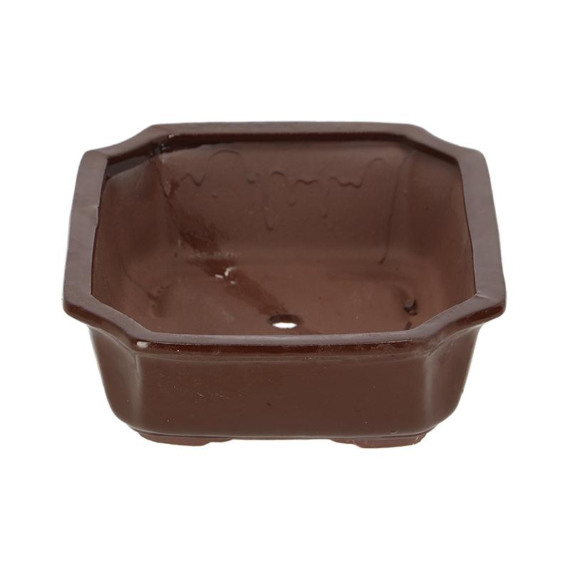 fallen fruits BONSAI POT RECTANGULAR (L)