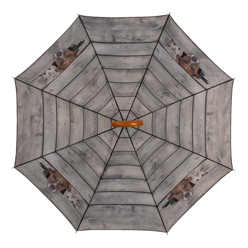 fallen fruits BOO DOG AND CAT