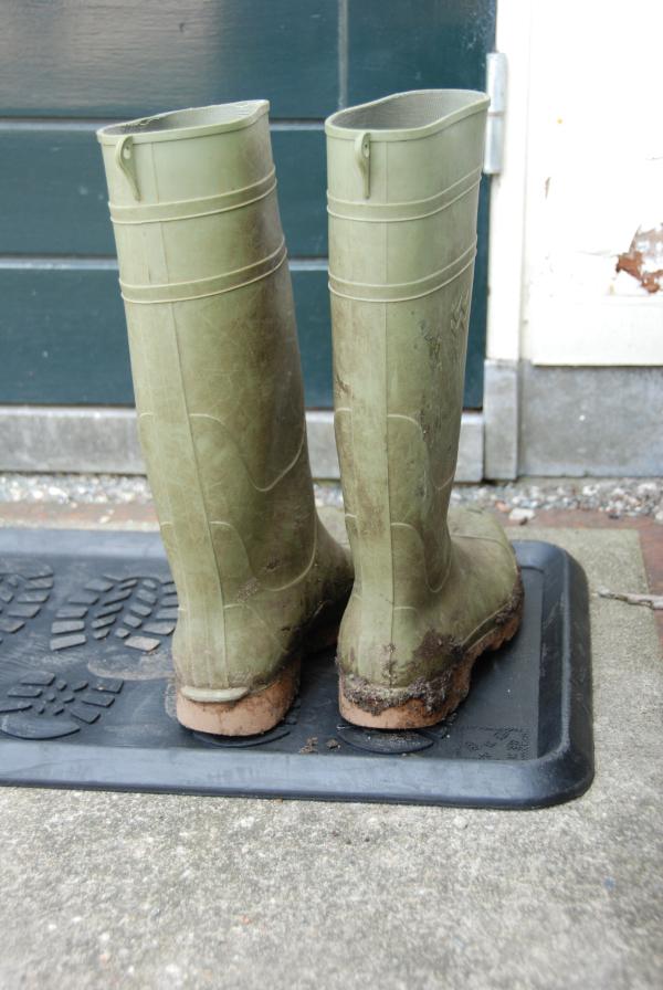 Fallen Fruits BOOT TRAY