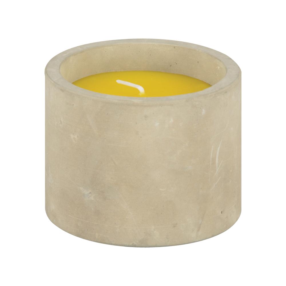 fallen fruits CITRONELLA CANDLE IN CONCRETE POT