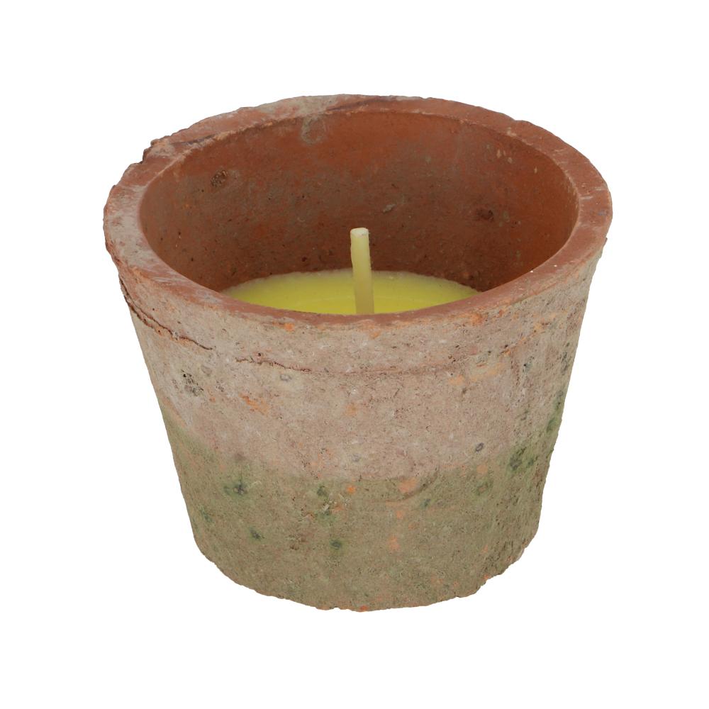fallen fruits CITRONELLA CANDLE IN TERRACOTTA POT