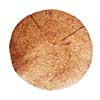 fallen fruits COIR INLAY 14"