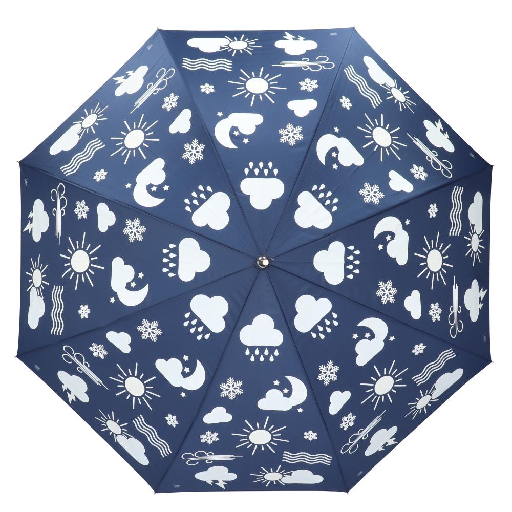 fallen fruits COLOUR CHANGING UMBRELLA WEATHER