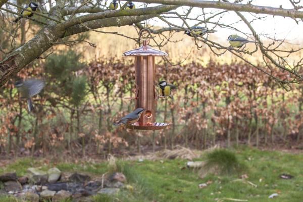 Fallen Fruits COPPER SEED FEEDER