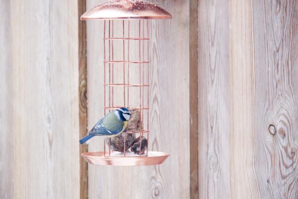 Fallen Fruits COPPER SUETBALL DISPENSER