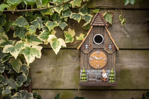 Fallen Fruits CUCKOO CLOCK BIRD HOUSE