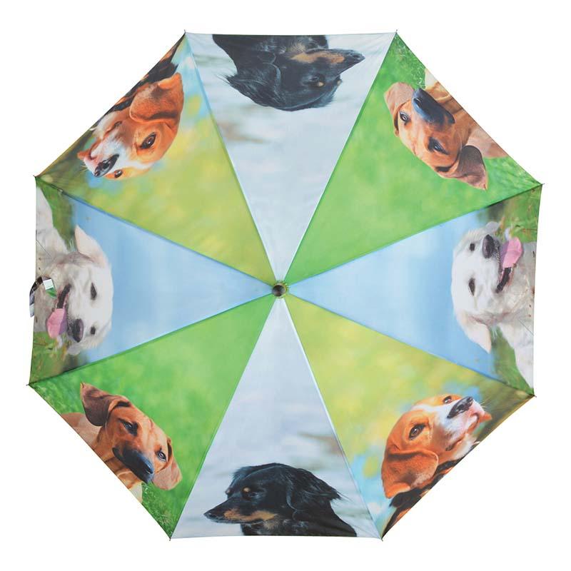fallen fruits DOG UMBRELLA