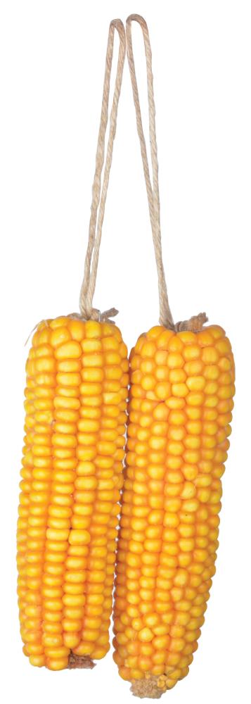 fallen fruits DRIED CORN