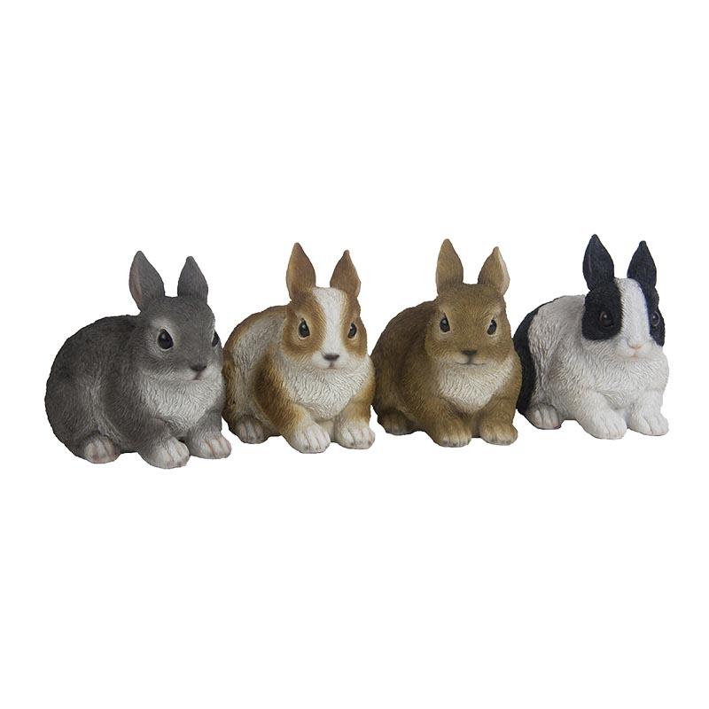 fallen fruits DWARF RABBIT (ASSORTED)