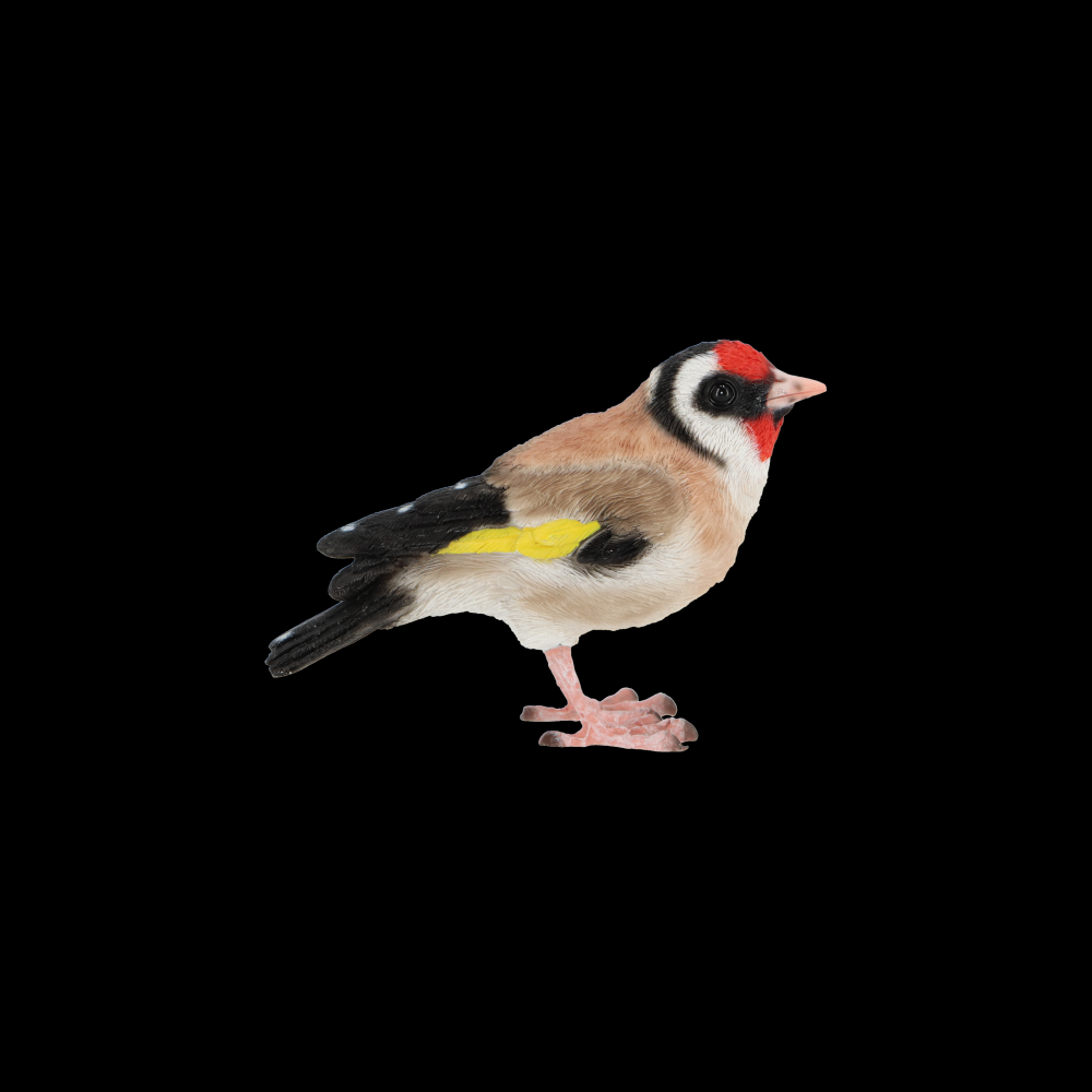 fallen fruits EUROPEAN GOLDFINCH