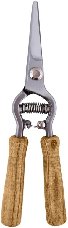 fallen fruits FLOWER SCISSORS