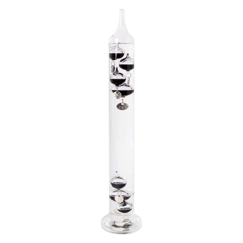 fallen fruits GALILEO THERMOMETER (MEDIUM)