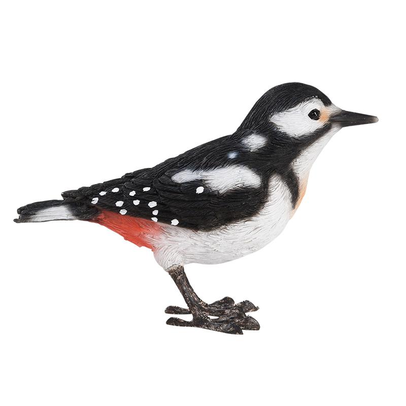 fallen fruits GREAT SPOTTED WOODPECKER