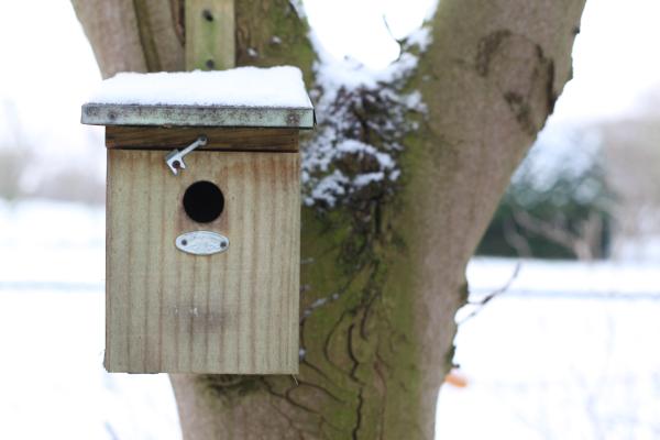 Fallen Fruits GREAT TIT BIRD HOUSE FSC MIX CREDIT