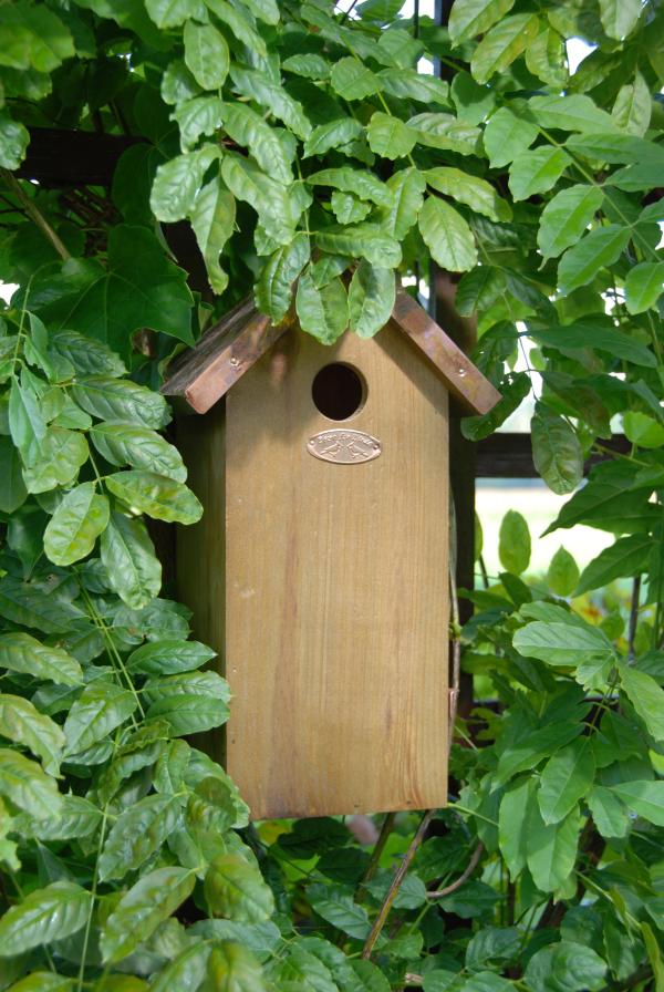 Fallen Fruits GREAT TIT BOX/COPPER ROOF FSC 100%
