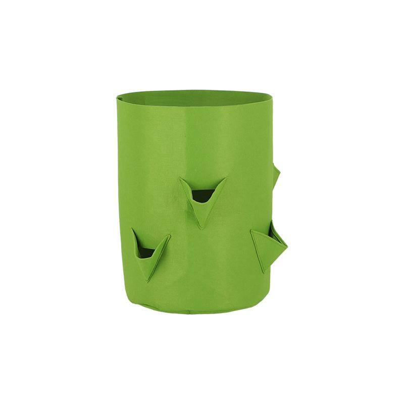 fallen fruits GROW BAG STRAWBERRIES/HERBS