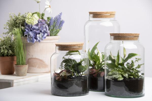 Fallen Fruits HALF OPEN TERRARIUM BOTTLE MEDIUM