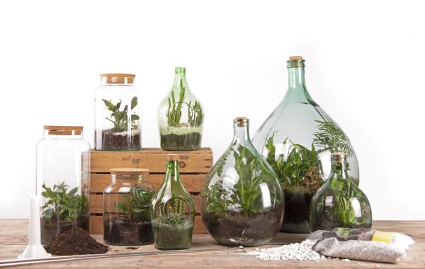 Fallen Fruits HALF OPEN TERRARIUM BOTTLE SMALL