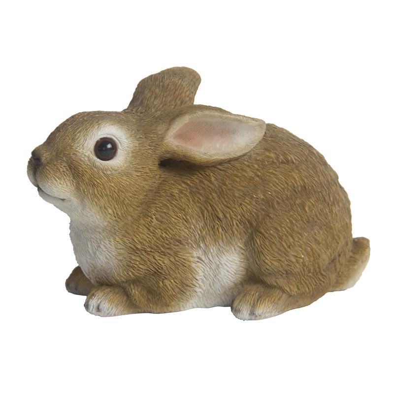 fallen fruits HARE LYING (MEDIUM)