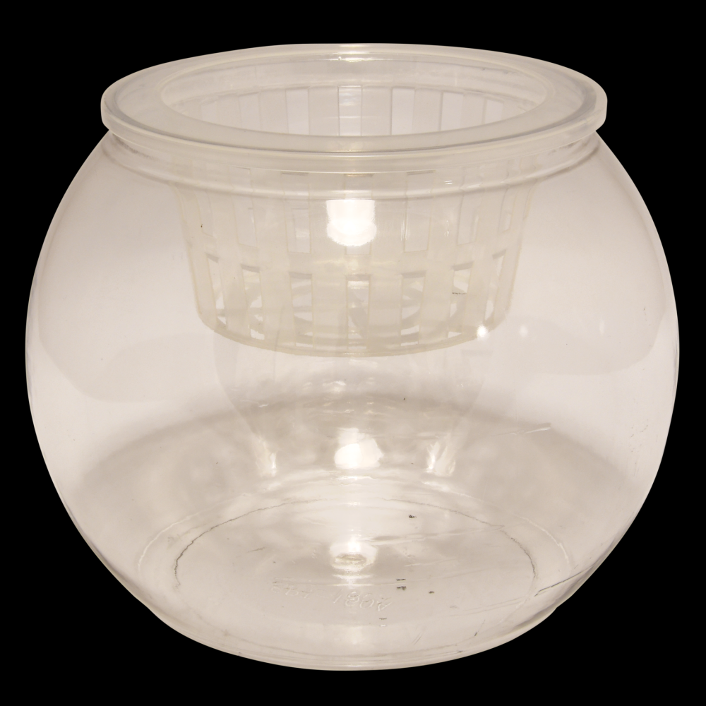 fallen fruits HYDROPONIC GARDENING POT H 17.6CMS