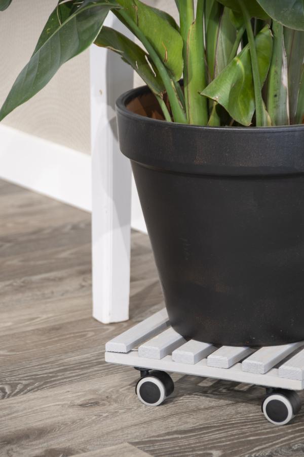 Fallen Fruits INDOOR PLANT TROLLEY WOOD SQUARE
