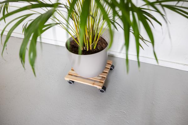 Fallen Fruits INDOOR PLANT TROLLEY WOOD SQUARE