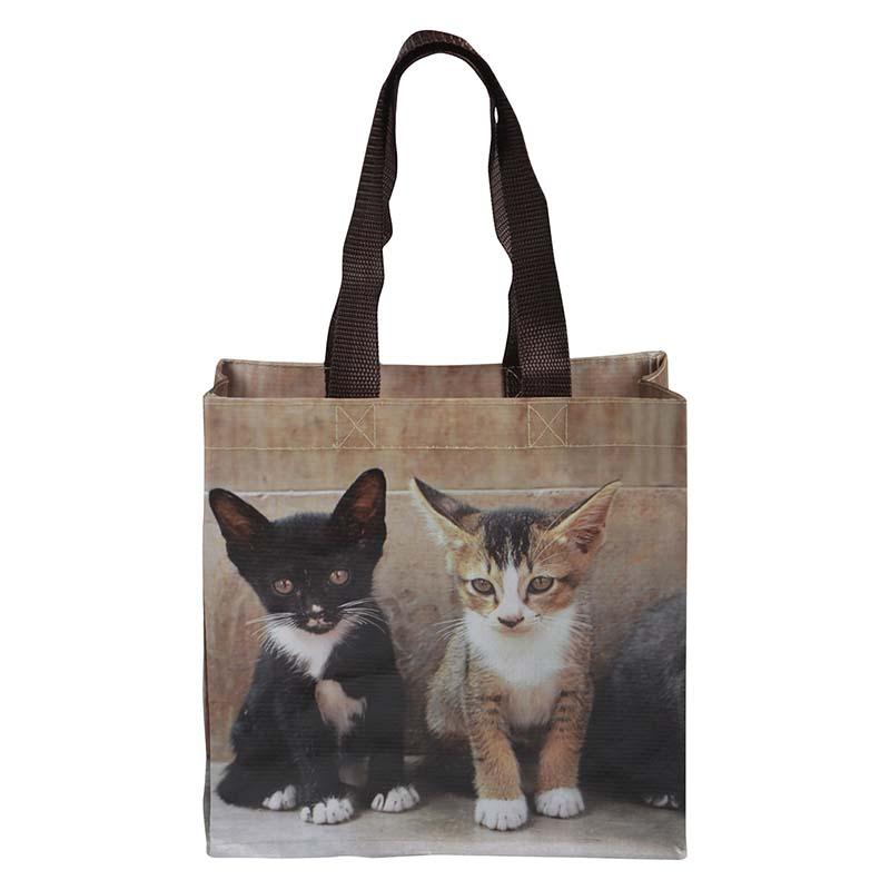 fallen fruits KITTENS SHOPPING BAG