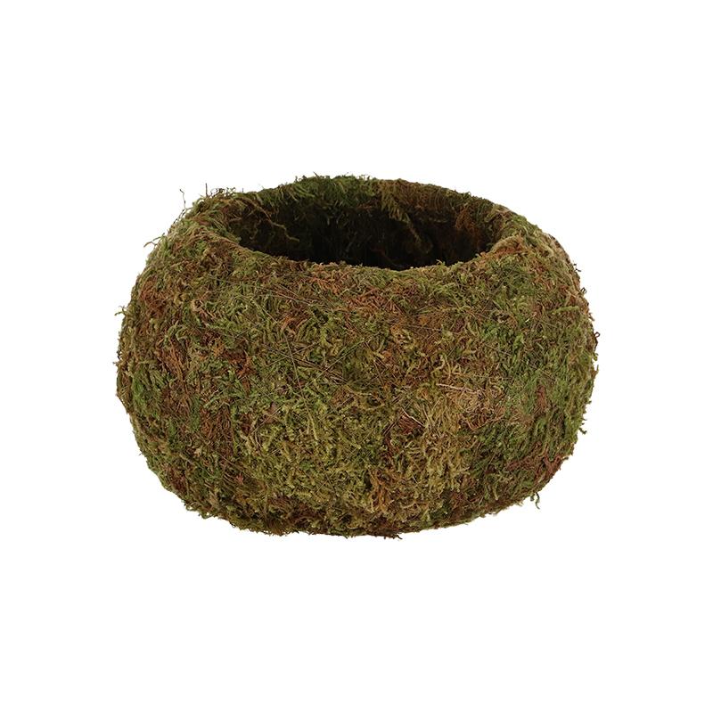 fallen fruits KOKEDAMA BALL (L)