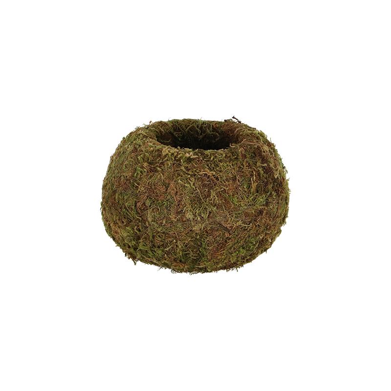 fallen fruits KOKEDAMA BALL (M)