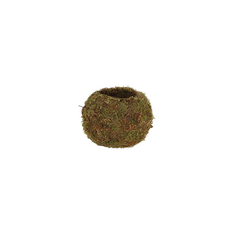 fallen fruits KOKEDAMA BALL (S)