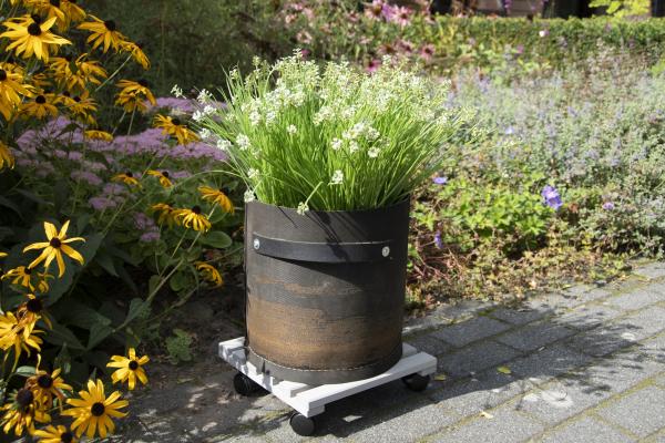 Fallen Fruits LARGE SQUARE PLANT TROLLEY