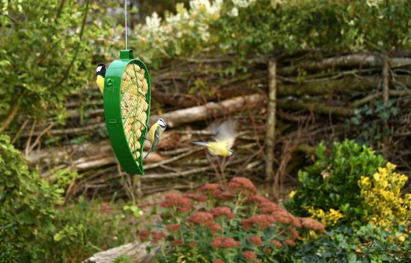 Fallen Fruits LEAF SHAPE NUT FEEDER