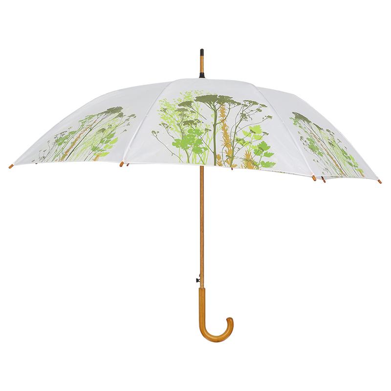 fallen fruits MEADOW HERBS UMBRELLA