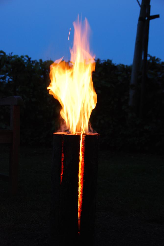 fallen fruits MEDIUM FIRE LOG (50 CMS)