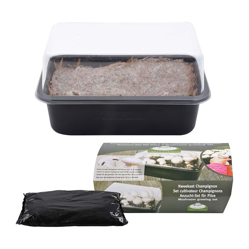 fallen fruits MUSHROOM GROW KIT