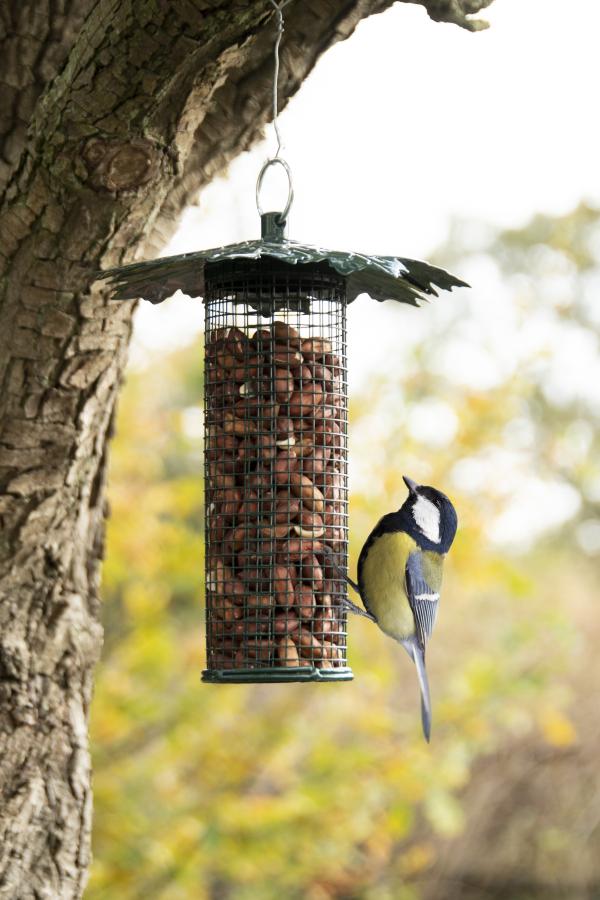 Fallen Fruits NUT FEEDER LEAF ROOF