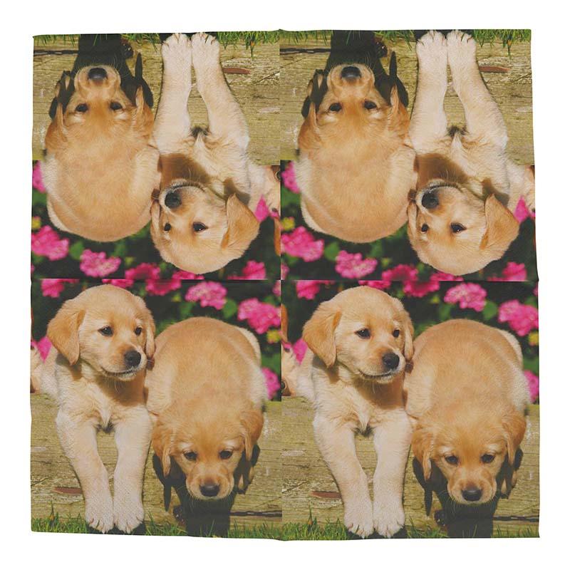 fallen fruits PAPER NAPKINS (PUPPIES) FSC MIX CREDIT