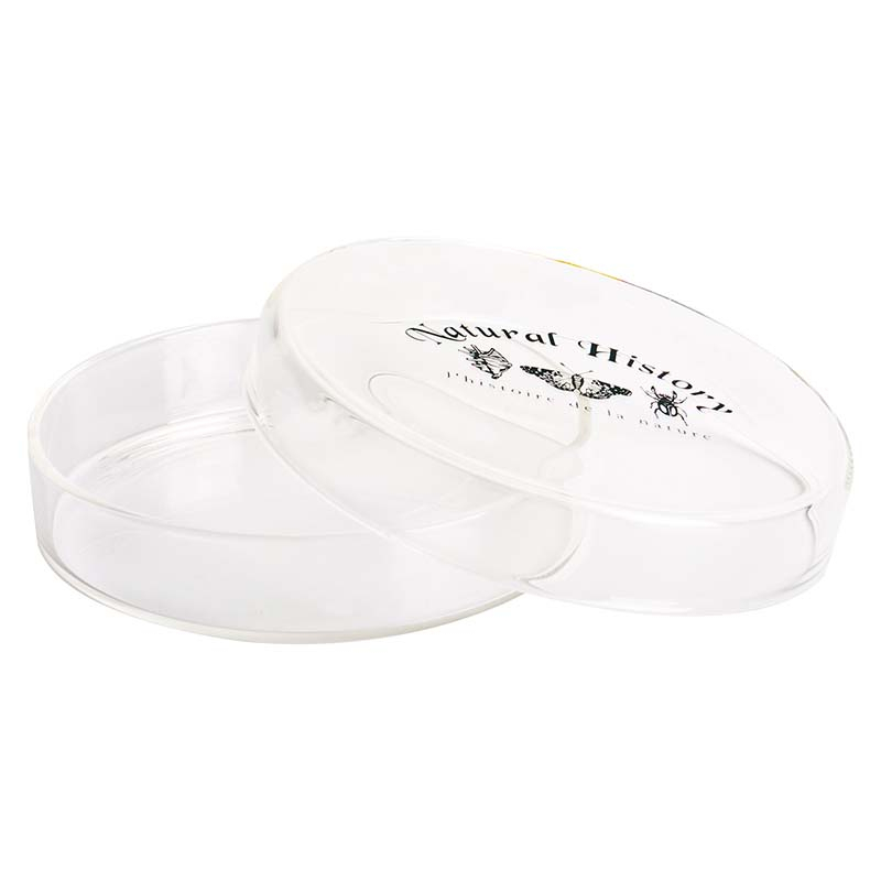 fallen fruits PETRI DISH LARGE (120ml)