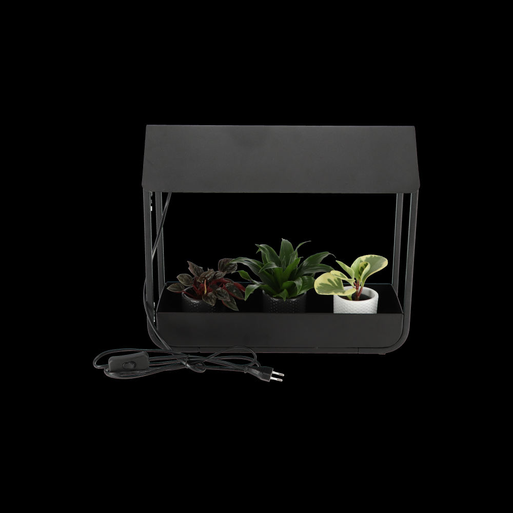 fallen fruits PLANT GROW LAMP COLD FRAME (BLACK)