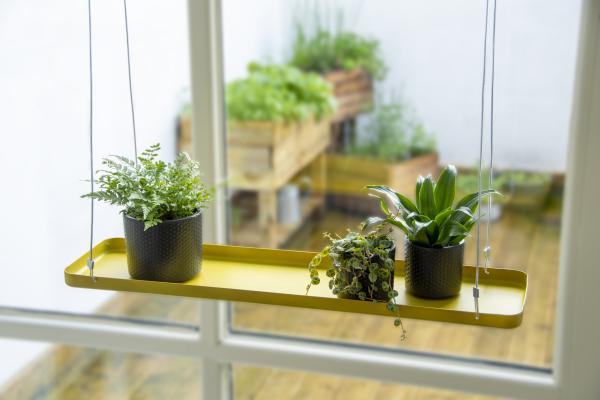 Fallen Fruits PLANT TRAY HANGING RECT GOLD L