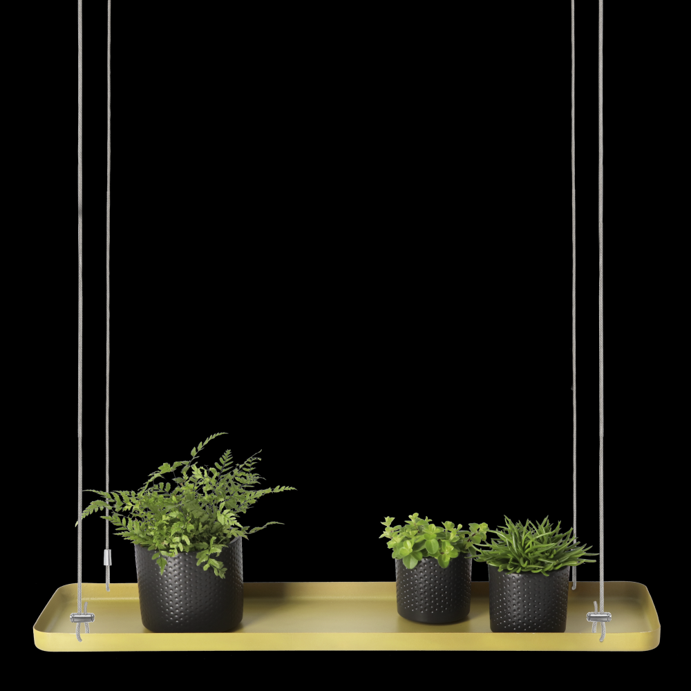 fallen fruits PLANT TRAY HANGING RECT GOLD L