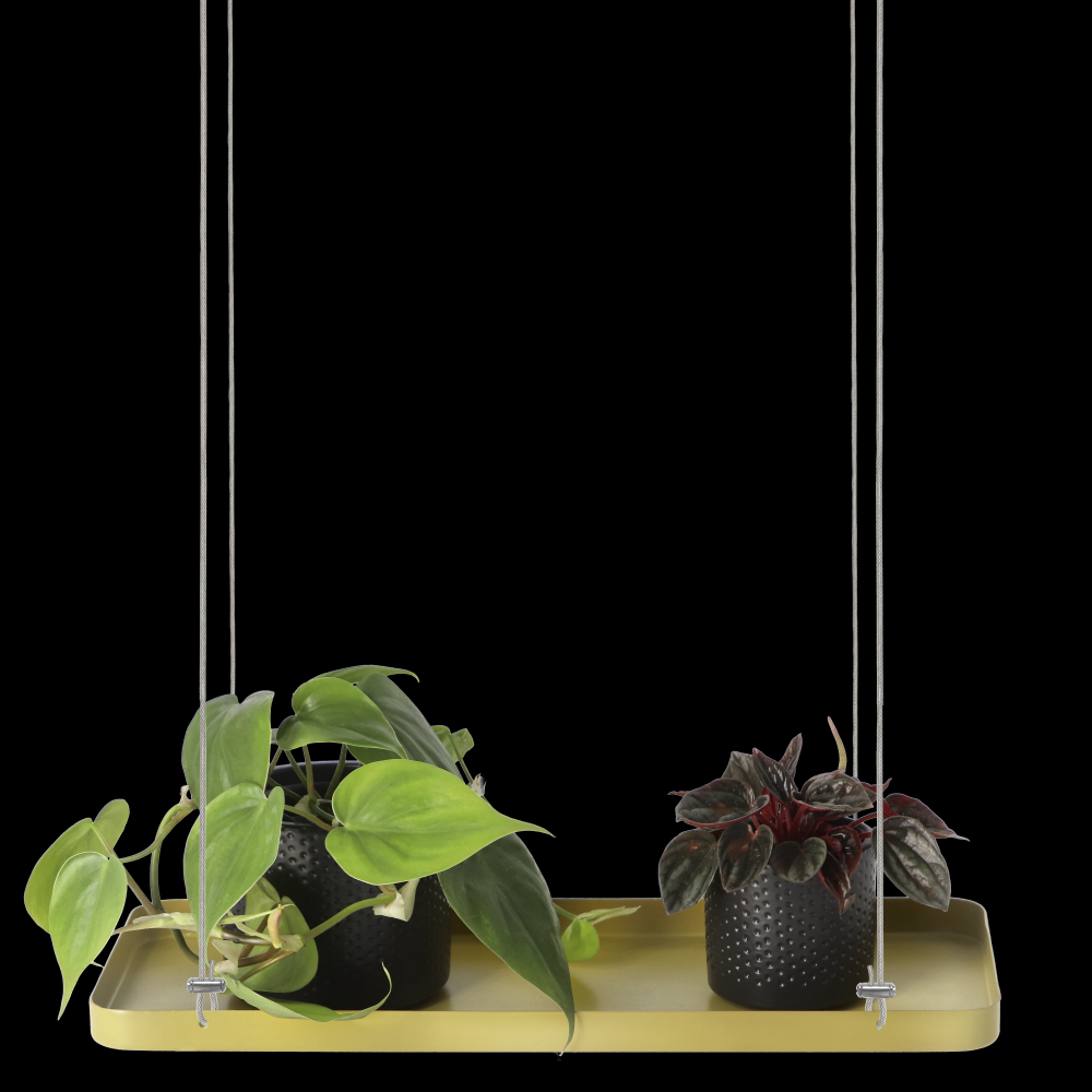 fallen fruits PLANT TRAY HANGING RECT GOLD S