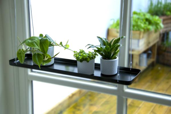 Fallen Fruits PLANT TRAY HANGING RECT L (ASS)